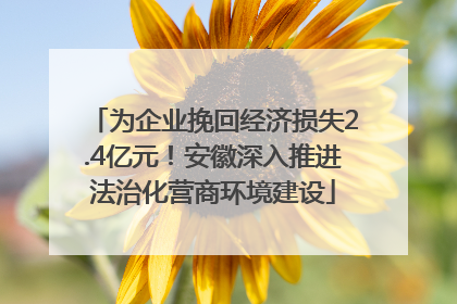 为企业挽回经济损失2.4亿元！安徽深入推进法治化营商环境建设