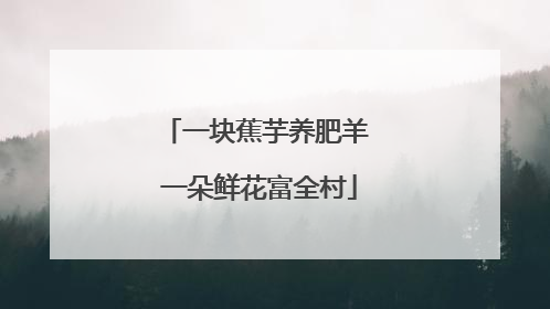 一块蕉芋养肥羊 一朵鲜花富全村