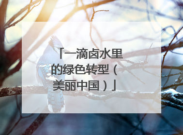 一滴卤水里的绿色转型（美丽中国）