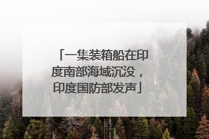 一集装箱船在印度南部海域沉没，印度国防部发声