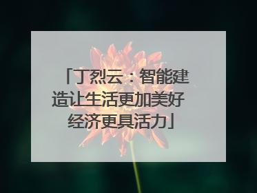 丁烈云：智能建造让生活更加美好 经济更具活力