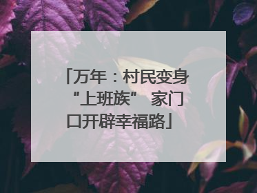 万年：村民变身“上班族” 家门口开辟幸福路