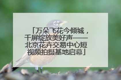 万朵飞花今倾城，千屏绽放美好声——北京花卉交易中心短视频拍摄基地启幕