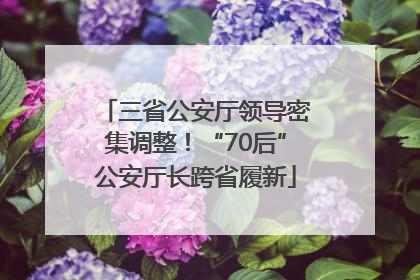 三省公安厅领导密集调整！“70后”公安厅长跨省履新