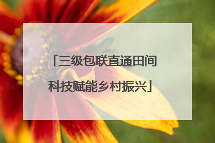 三级包联直通田间 科技赋能乡村振兴