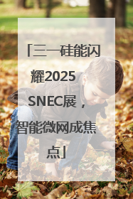 三一硅能闪耀2025 SNEC展，智能微网成焦点