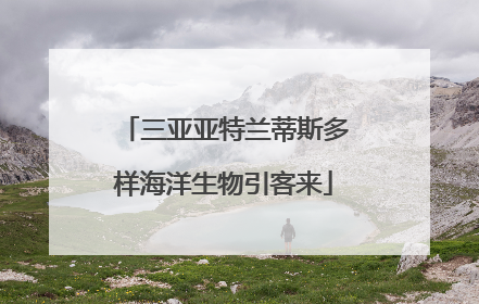 三亚亚特兰蒂斯多样海洋生物引客来