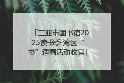 三亚市图书馆2025读书季·湾区“书”适圈活动收官