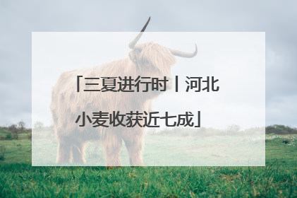三夏进行时丨河北小麦收获近七成