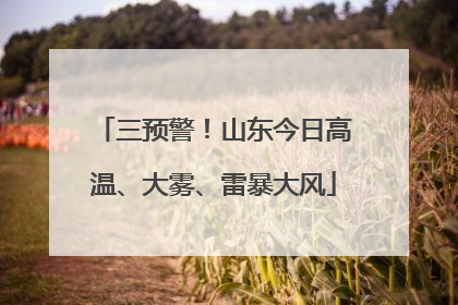 三预警！山东今日高温、大雾、雷暴大风