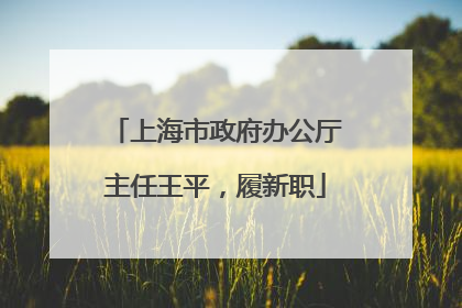 上海市政府办公厅主任王平，履新职