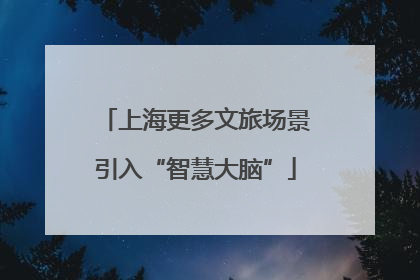 上海更多文旅场景引入“智慧大脑”