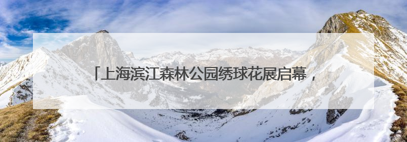 上海滨江森林公园绣球花展启幕，近5万株绣球花海打造治愈系画面