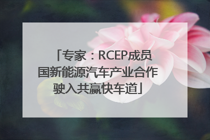专家：RCEP成员国新能源汽车产业合作驶入共赢快车道