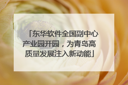 东华软件全国副中心产业园开园，为青岛高质量发展注入新动能