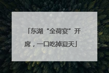 东湖“全荷宴”开席，一口吃掉夏天