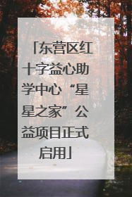 东营区红十字益心助学中心“星星之家”公益项目正式启用