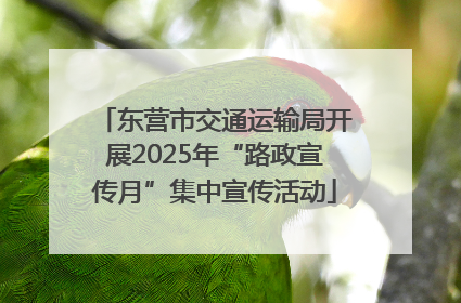 东营市交通运输局开展2025年“路政宣传月”集中宣传活动