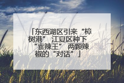 东西湖区引来“樟树港” 江夏区种下“襄辣王” 两颗辣椒的“对话”