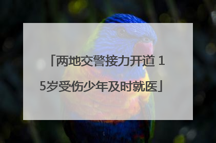两地交警接力开道 15岁受伤少年及时就医