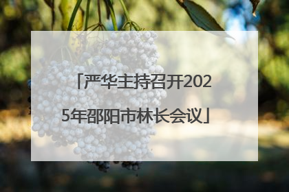 严华主持召开2025年邵阳市林长会议