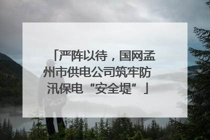 严阵以待，国网孟州市供电公司筑牢防汛保电“安全堤”