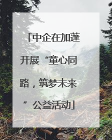 中企在加蓬开展“童心同路，筑梦未来”公益活动