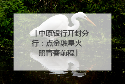 中原银行开封分行：点金融星火 照青春前程