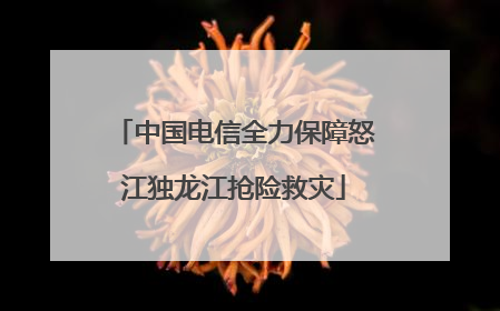 中国电信全力保障怒江独龙江抢险救灾