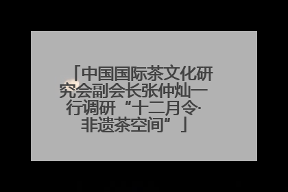中国国际茶文化研究会副会长张仲灿一行调研“十二月令·非遗茶空间”