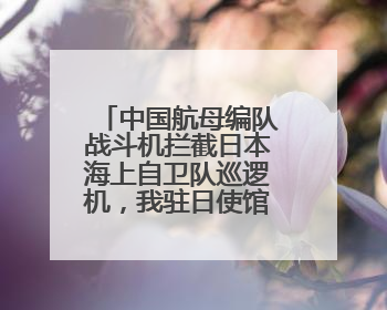 中国航母编队战斗机拦截日本海上自卫队巡逻机，我驻日使馆回应
