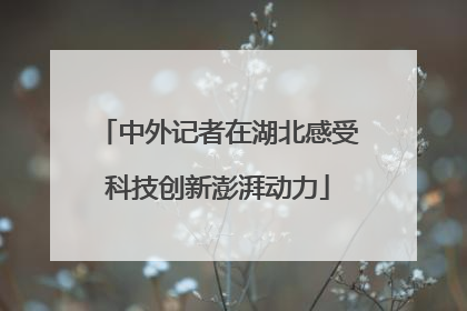 中外记者在湖北感受科技创新澎湃动力