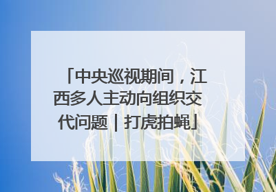 中央巡视期间，江西多人主动向组织交代问题｜打虎拍蝇