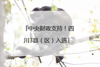 中央财政支持！四川3县（区）入选