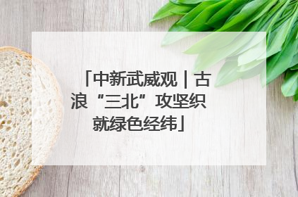 中新武威观｜古浪“三北”攻坚织就绿色经纬