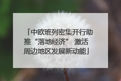 中欧班列密集开行助推“落地经济” 激活周边地区发展新动能