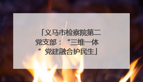 义马市检察院第二党支部：“三维一体”党建融合护民生