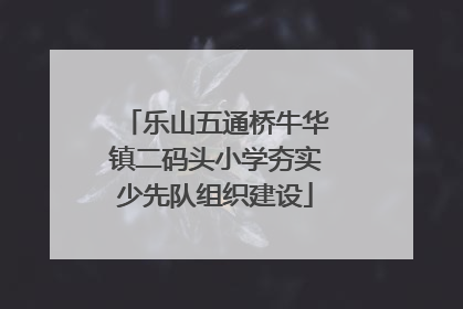 乐山五通桥牛华镇二码头小学夯实少先队组织建设