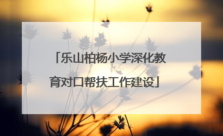 乐山柏杨小学深化教育对口帮扶工作建设