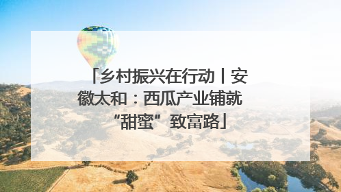 乡村振兴在行动丨安徽太和：西瓜产业铺就“甜蜜”致富路