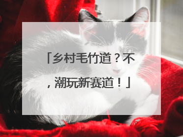 乡村毛竹道？不，潮玩新赛道！