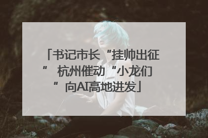 书记市长“挂帅出征” 杭州催动“小龙们”向AI高地进发