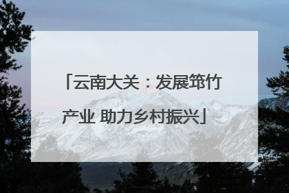 云南大关：发展筇竹产业 助力乡村振兴
