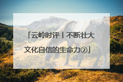 云岭时评丨不断壮大文化自信的生命力②