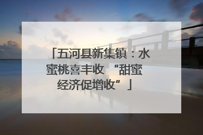 五河县新集镇：水蜜桃喜丰收 “甜蜜经济促增收”