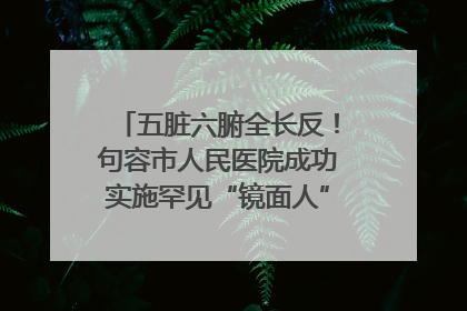 五脏六腑全长反！句容市人民医院成功实施罕见“镜面人”肝癌根治术
