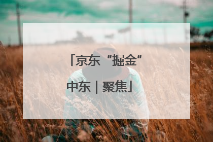京东“掘金”中东｜聚焦