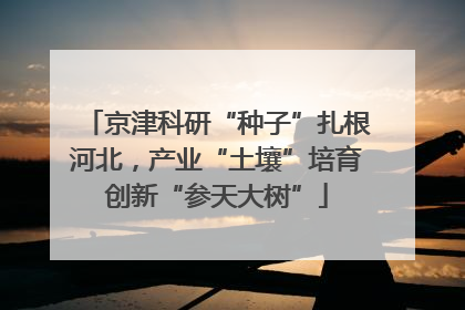 京津科研“种子”扎根河北，产业“土壤”培育创新“参天大树”
