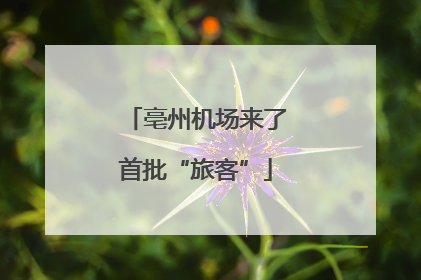 亳州机场来了首批“旅客”