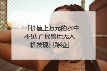价值上万元的水牛不见了 民警用无人机发现其踪迹